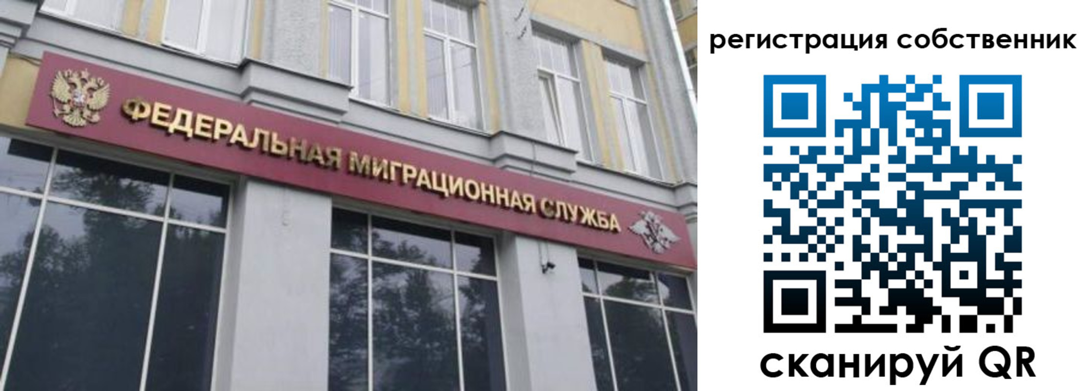 временная регистрация поиск в Сасово